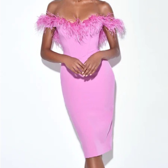 Miss Circle Ophelia Fuchsia Feather Corset Dress - Picture 1 of 4